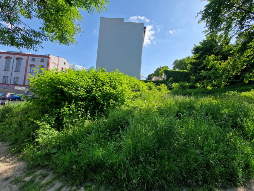 Sekání silně zarostlého pozemku Opava u penny